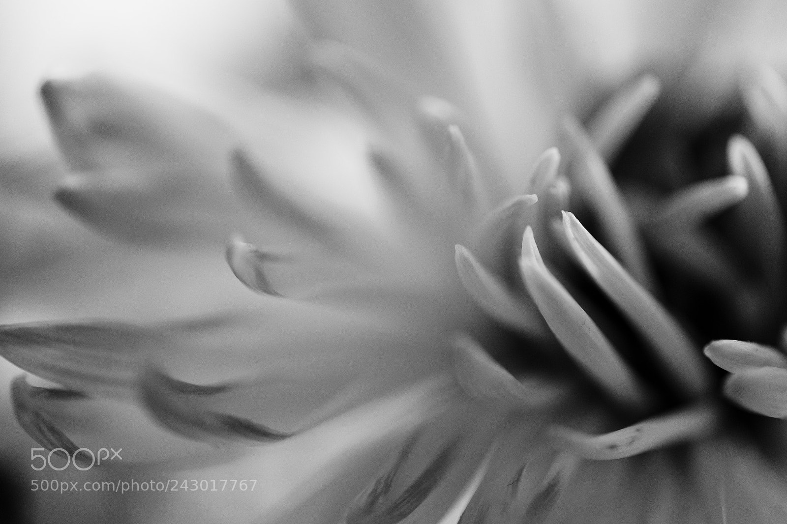 Fujifilm X-T1 sample photo. Untitled photography