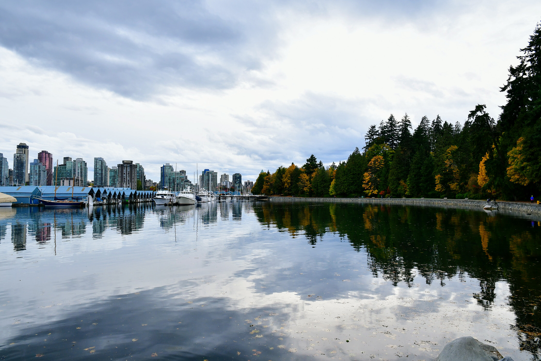 Nikon D7500 sample photo. Stanley park  photography