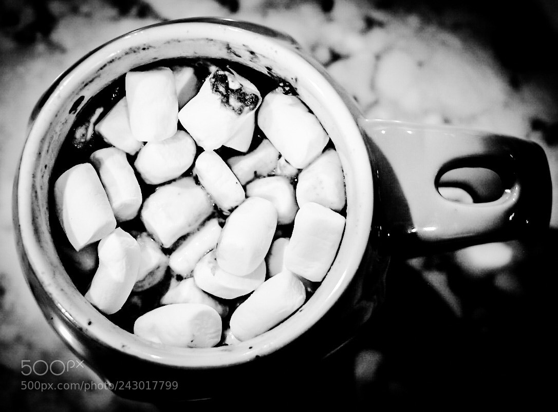 Nikon D7200 sample photo. Untitled photography