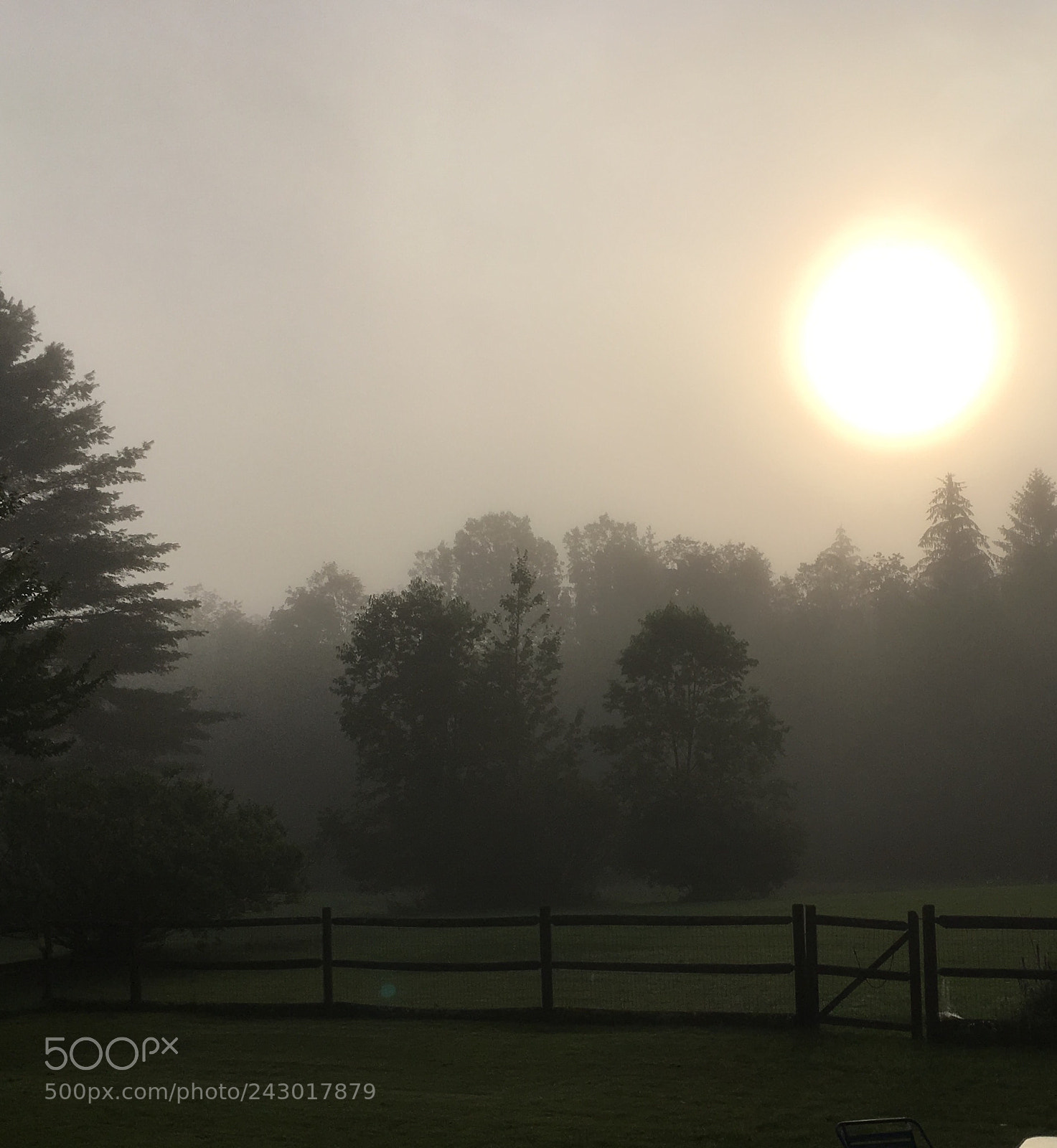 Apple iPhone SE sample photo. Fog in the morning photography