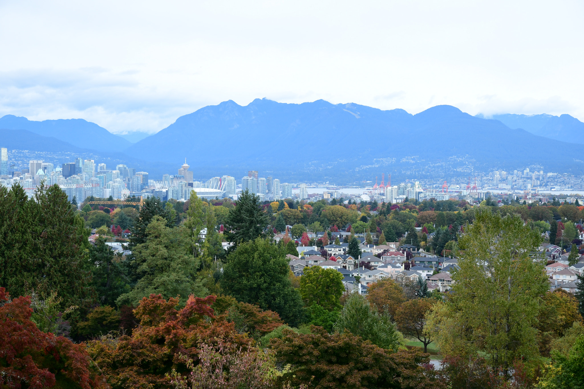 Nikon D7500 sample photo. Great vancouver  photography