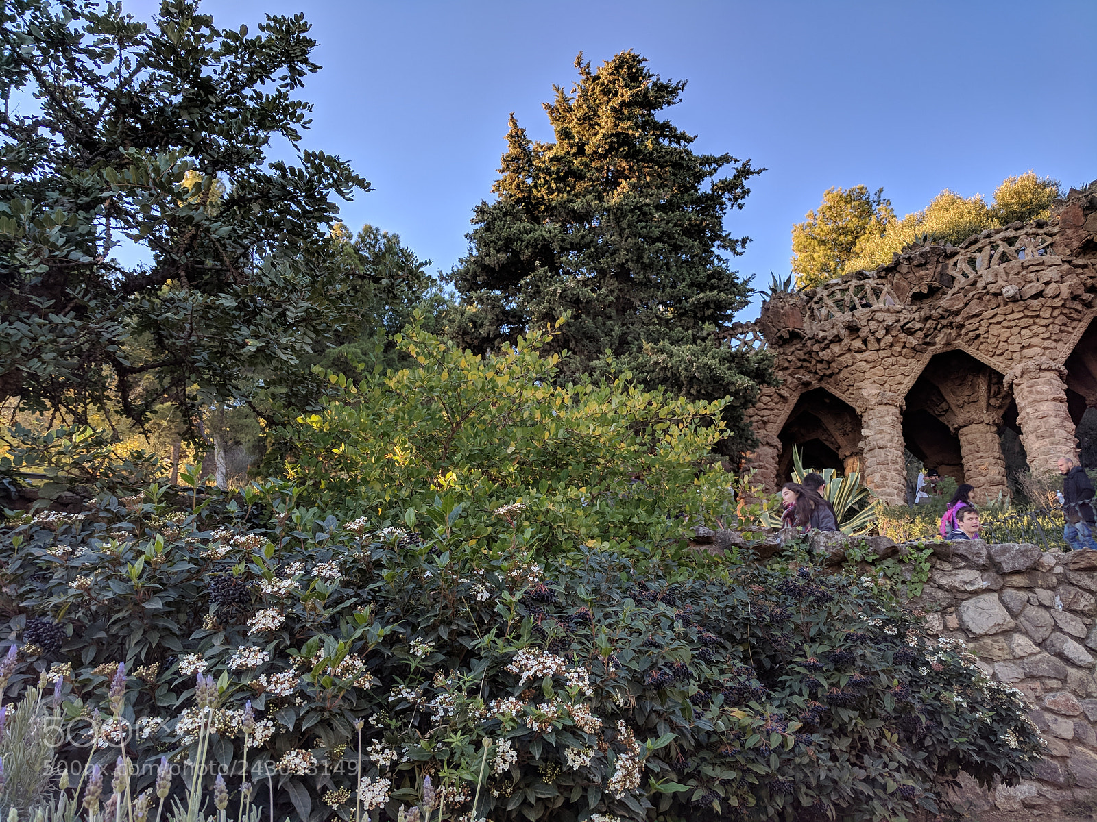 Google Pixel sample photo. Gaudi's garden photography
