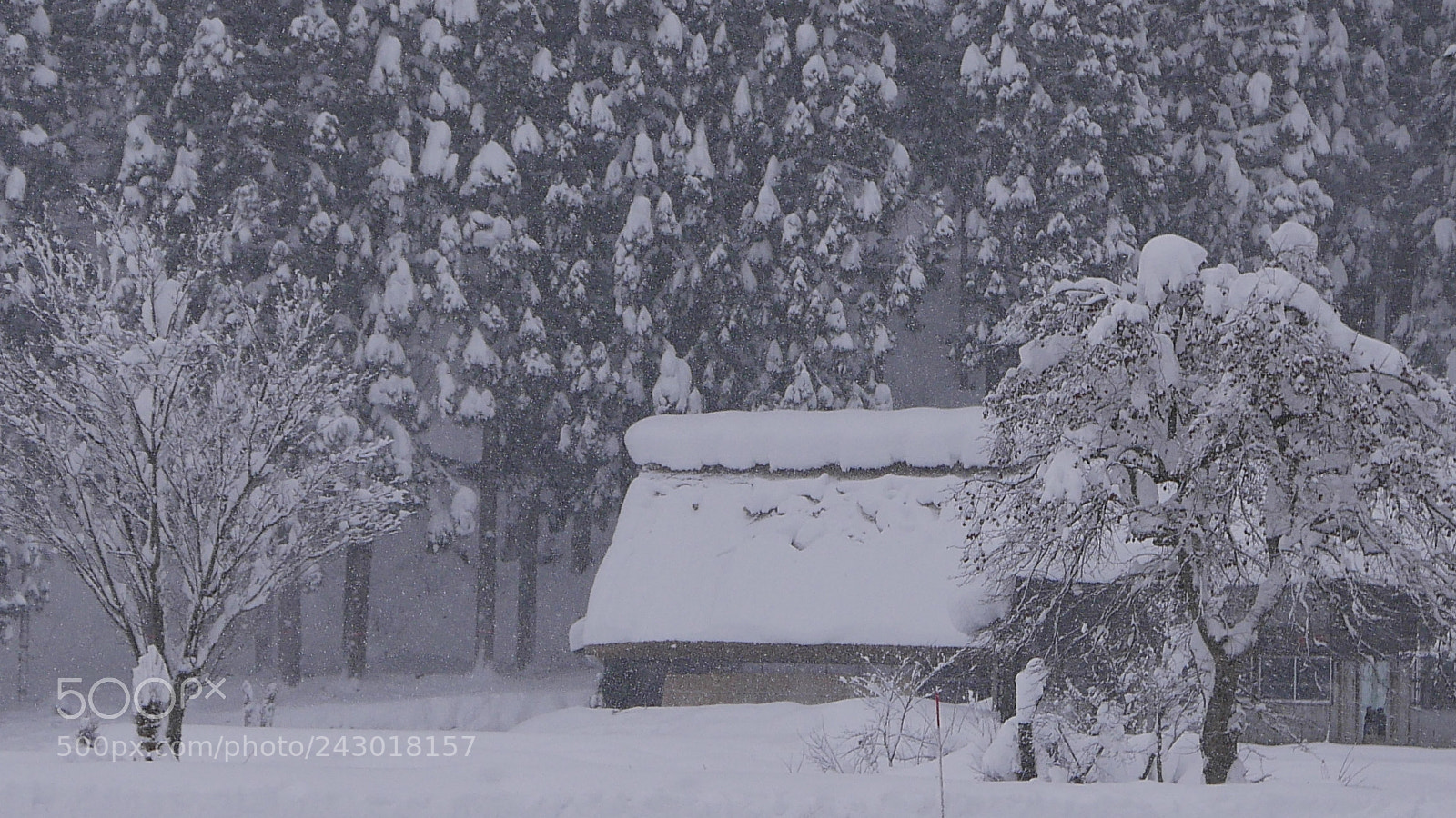 Leica D-Lux (Typ 109) sample photo. 大雪封门。。。 photography