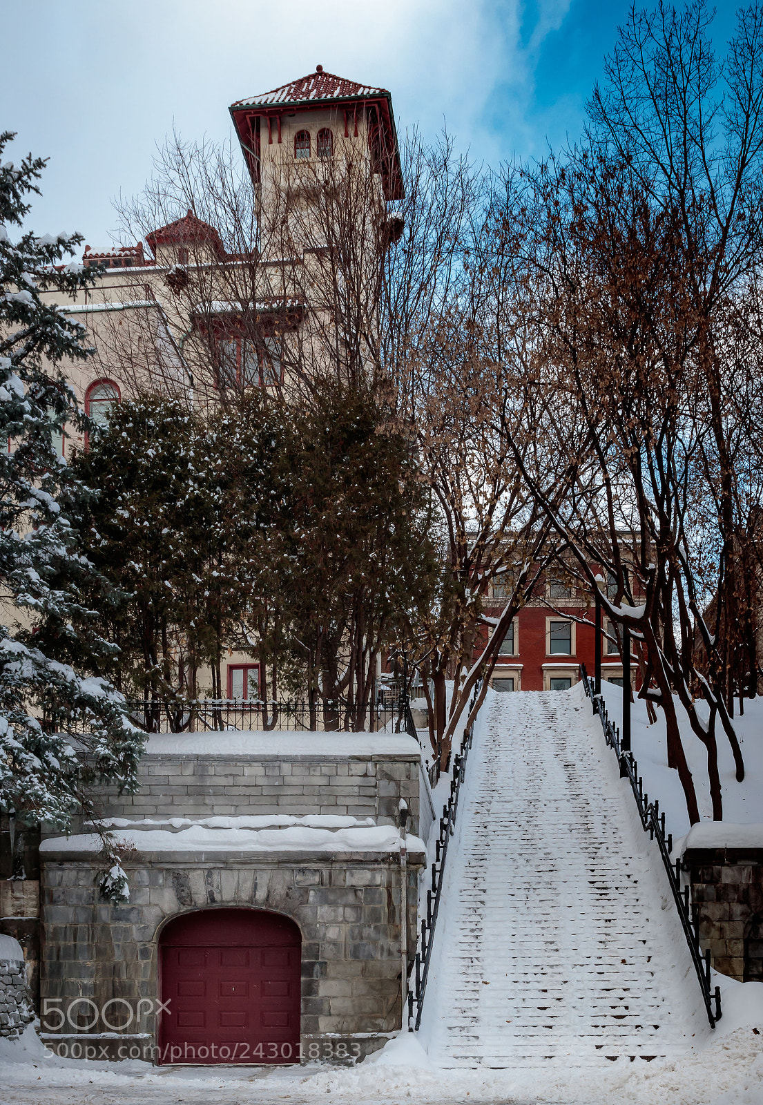 Canon EOS 77D (EOS 9000D / EOS 770D) sample photo. Ave de musee photography