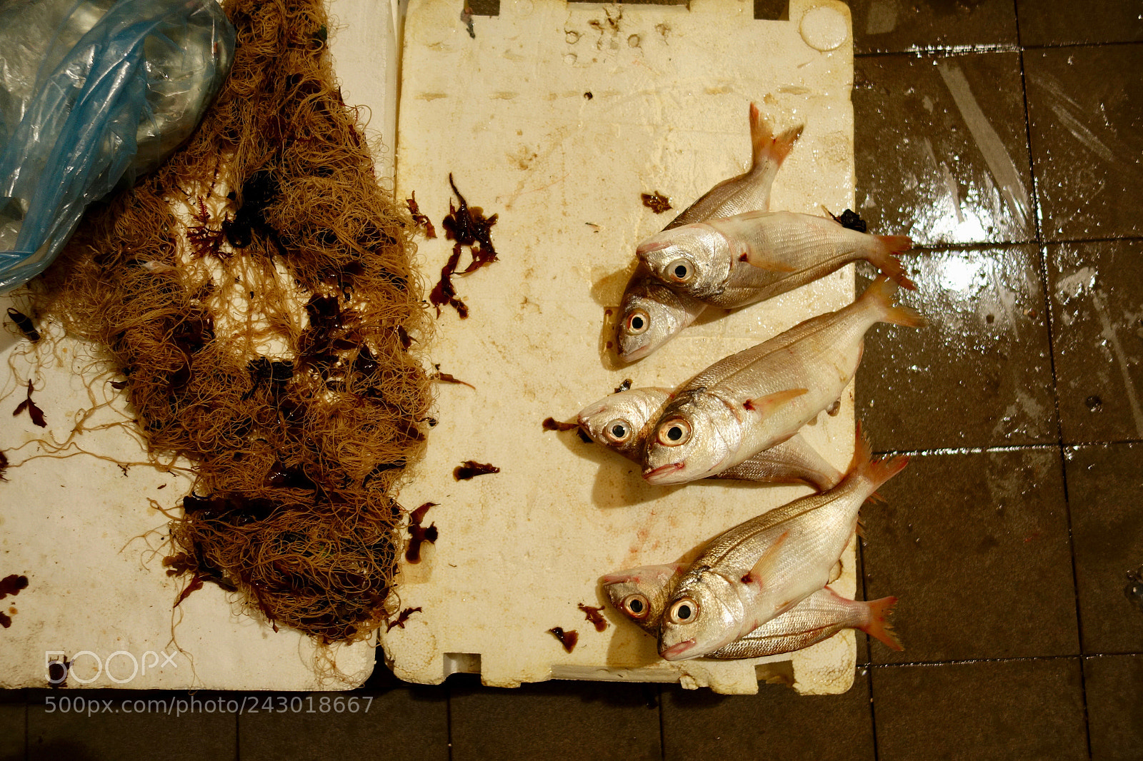 Sony Cyber-shot DSC-RX100 II sample photo. Market photography