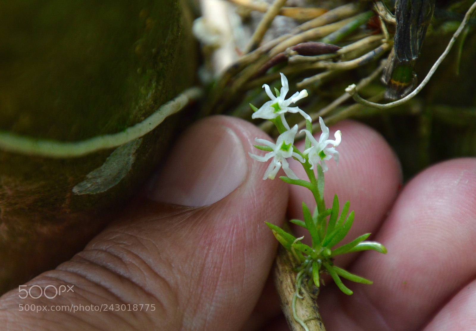 Nikon D3200 sample photo. Untitled photography