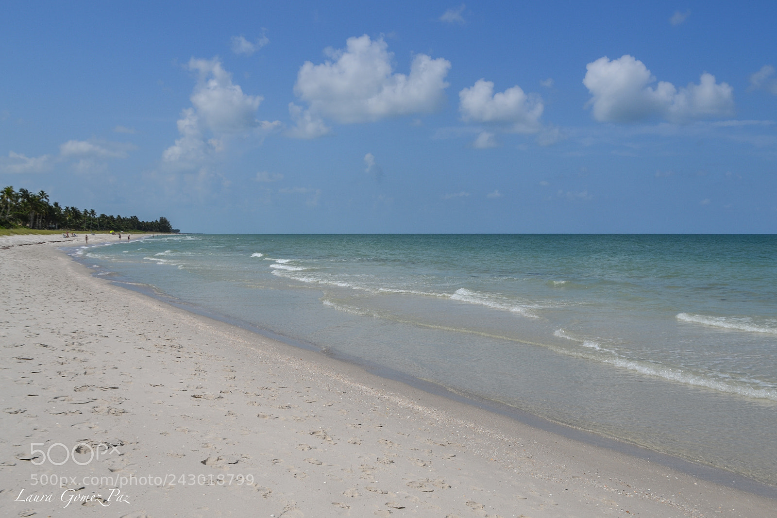 Nikon D3100 sample photo. Naples beach photography