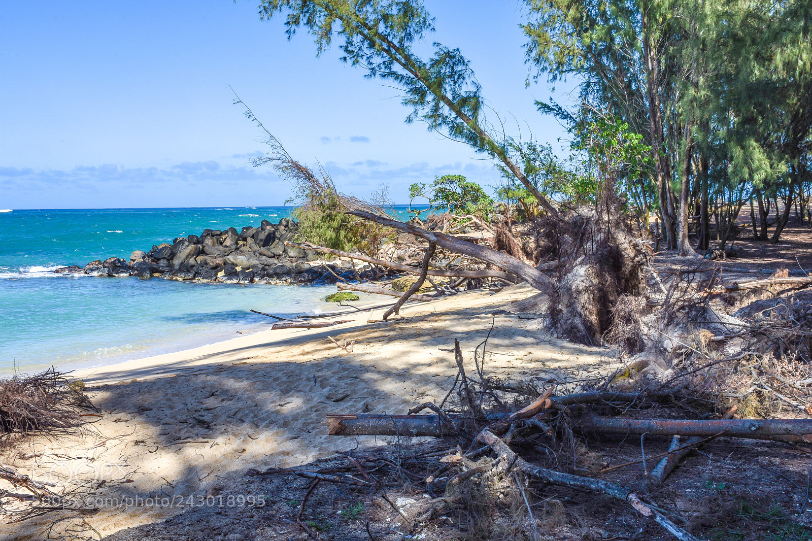 Nikon D7200 sample photo. Baldwin cove photography