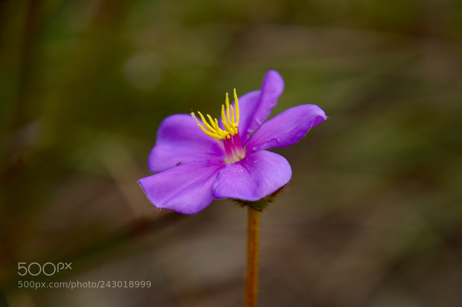 Nikon D3200 sample photo. Untitled photography