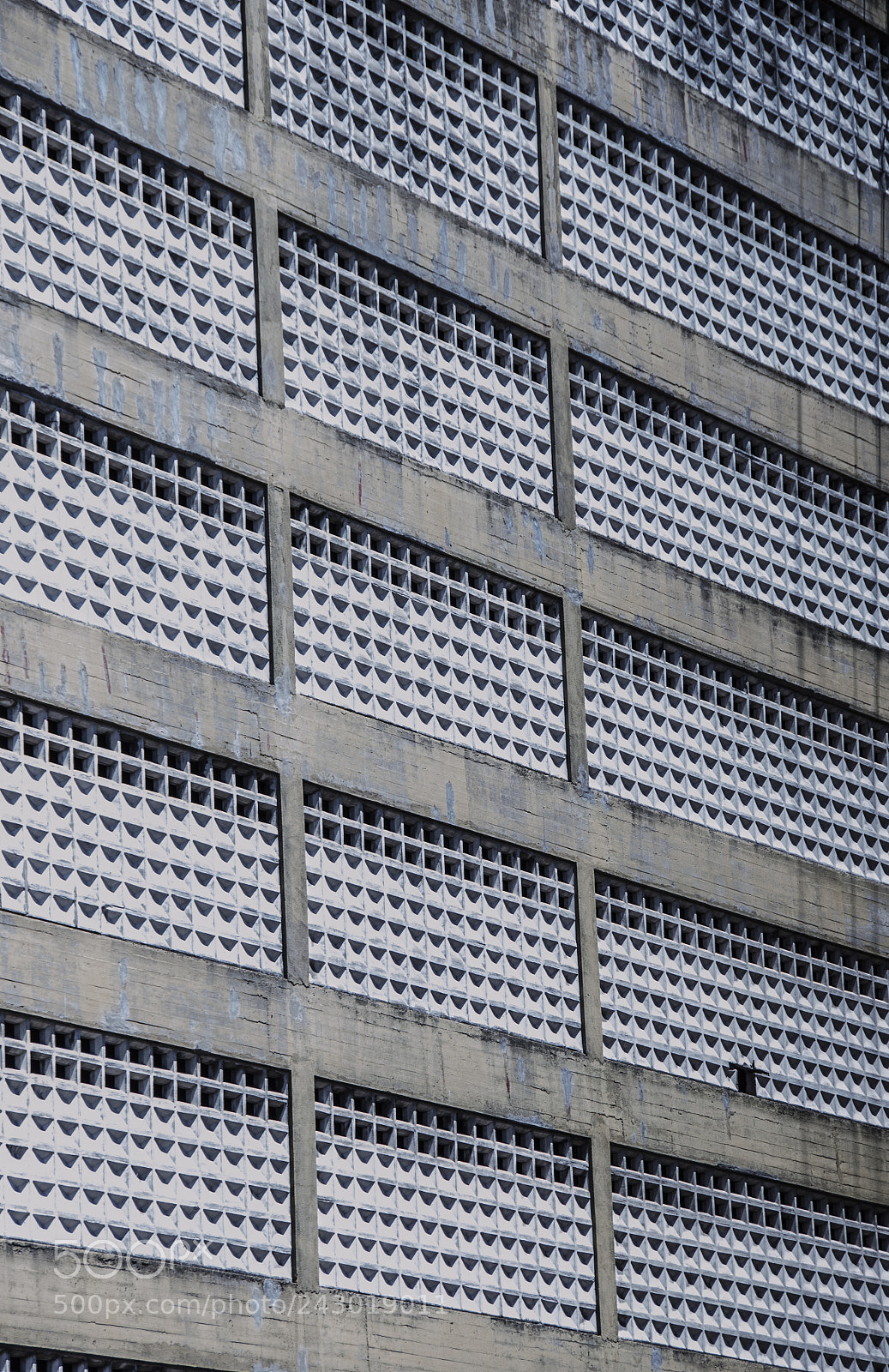Nikon D5100 sample photo. There photography