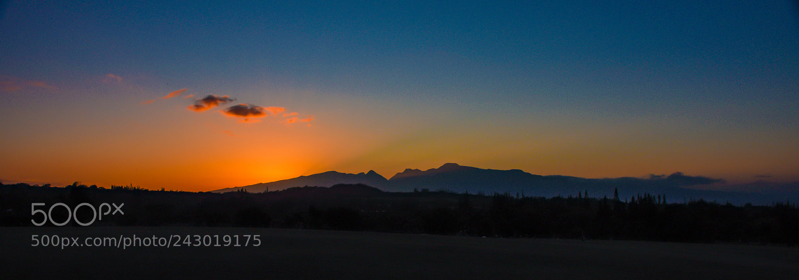 Nikon D7200 sample photo. Haiku sunset photography