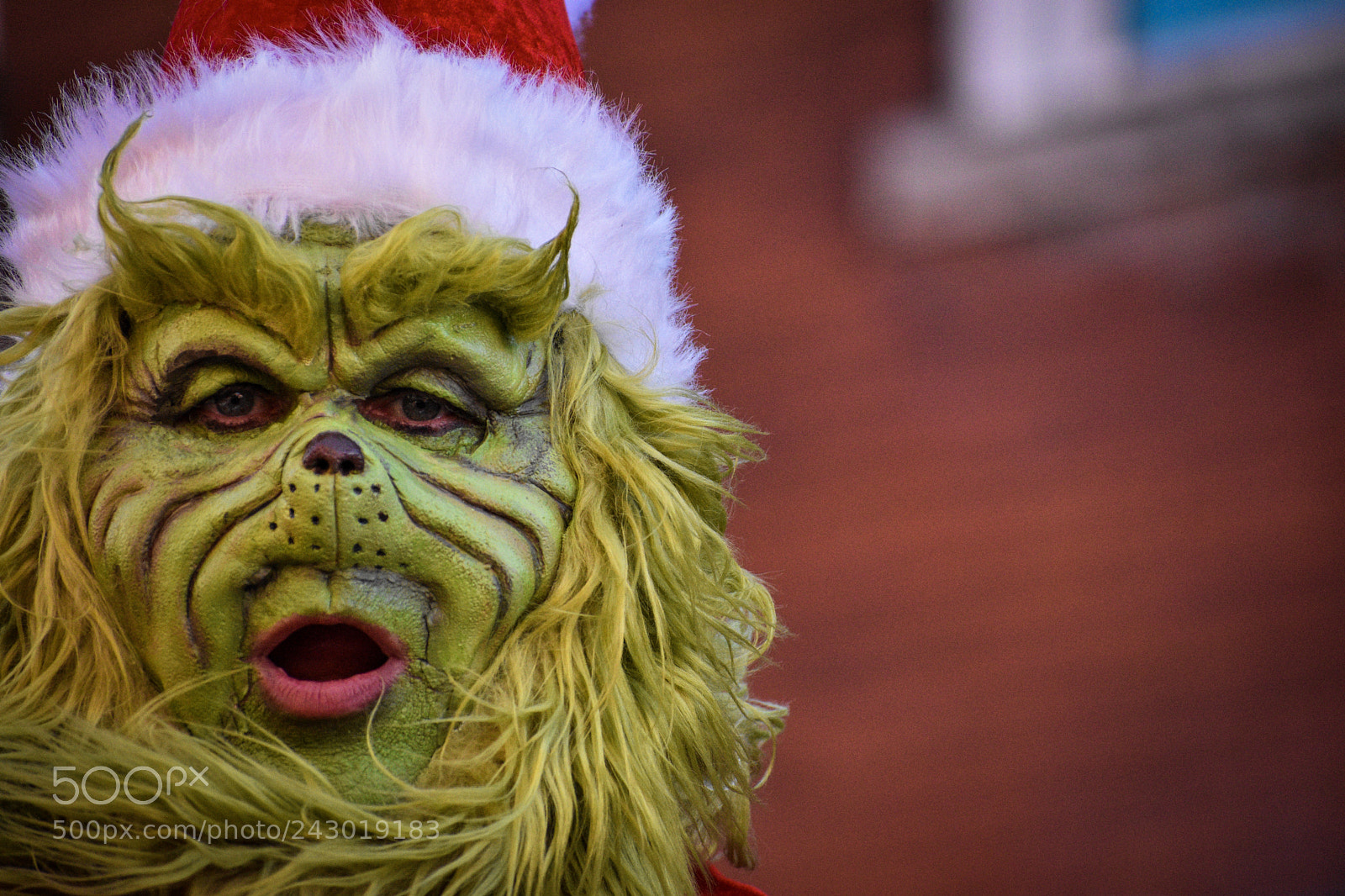 Nikon D3400 sample photo. Christmas parade. the grinch!! photography