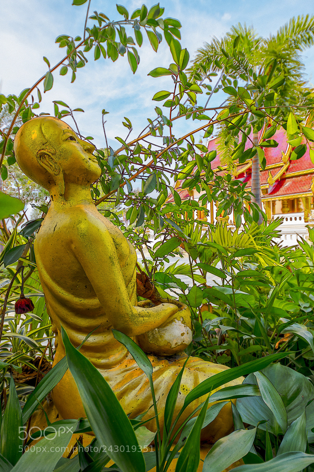 Nikon D850 sample photo. Méditation photography
