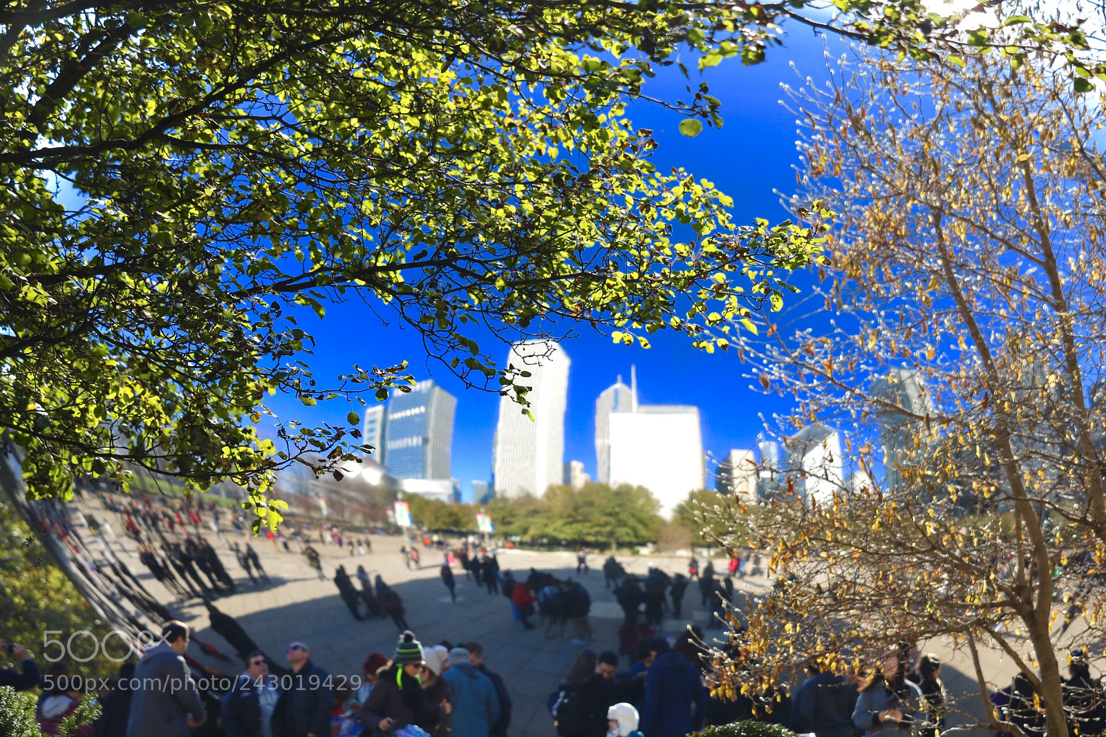 Canon EOS 750D (EOS Rebel T6i / EOS Kiss X8i) sample photo. Millennium park !! photography