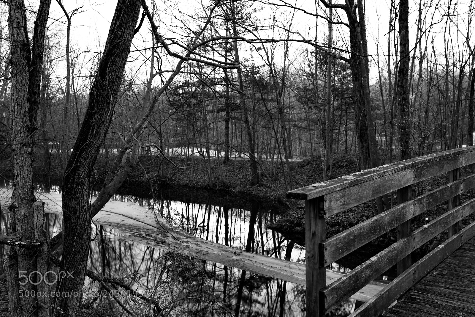 Canon EOS 750D (EOS Rebel T6i / EOS Kiss X8i) sample photo. Blackstone river in black photography