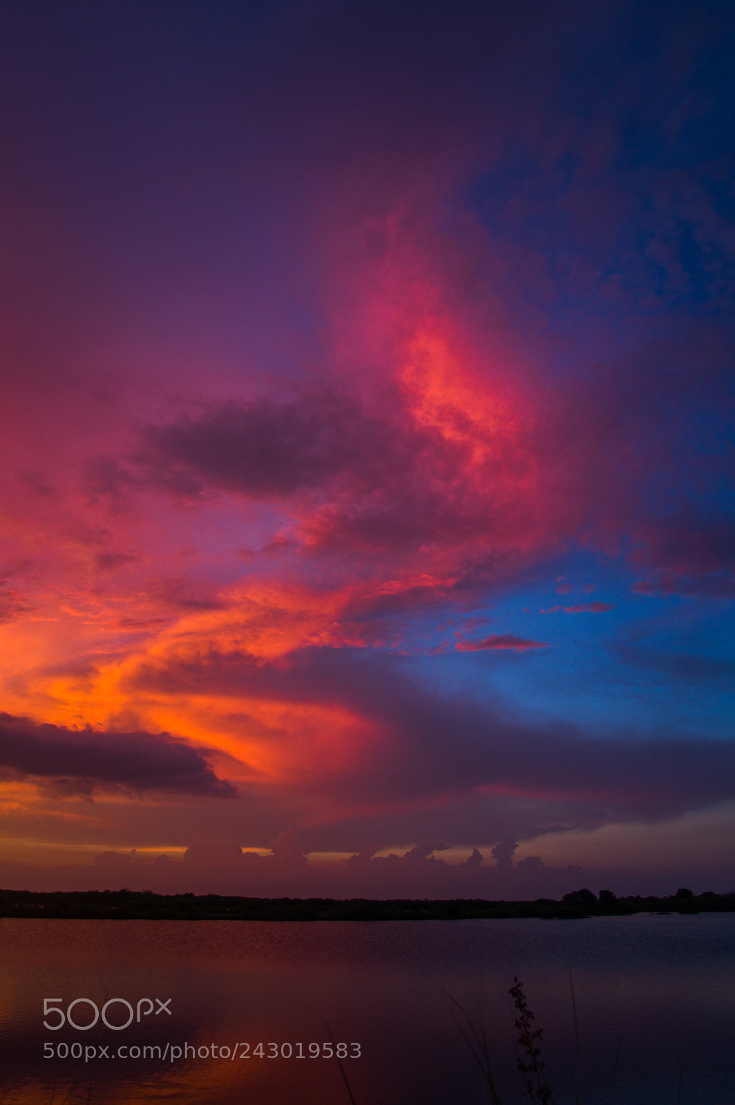 Pentax K-3 II sample photo. Streak of color photography