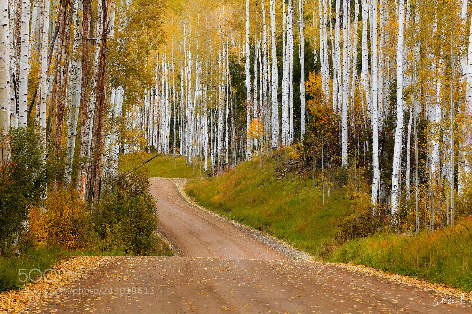 Canon EOS 5DS R sample photo. The long and winding photography