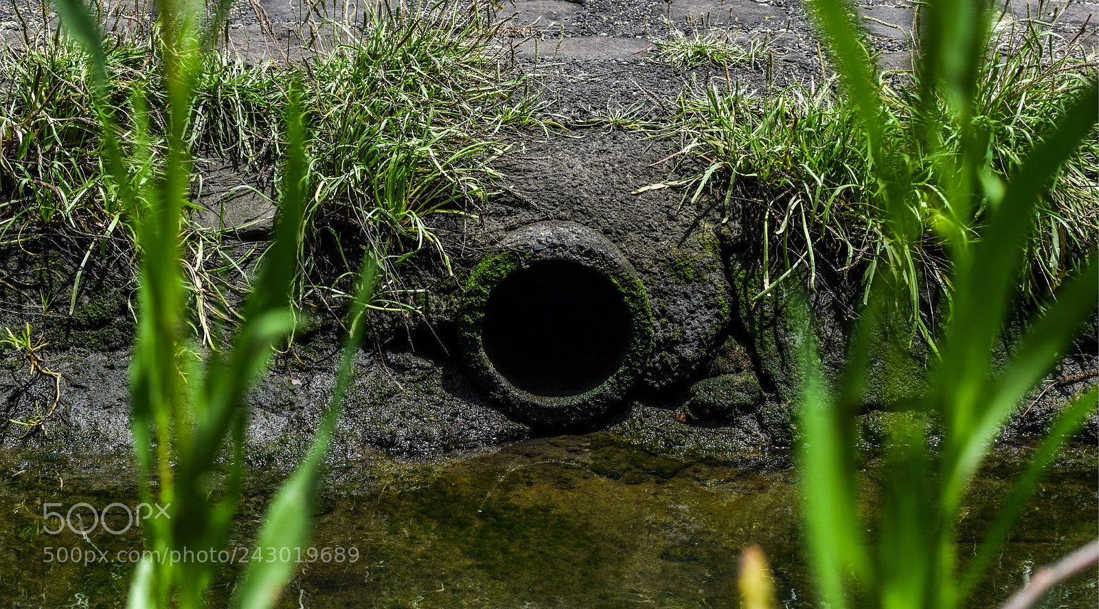 Nikon D5500 sample photo. Drain pipe photography