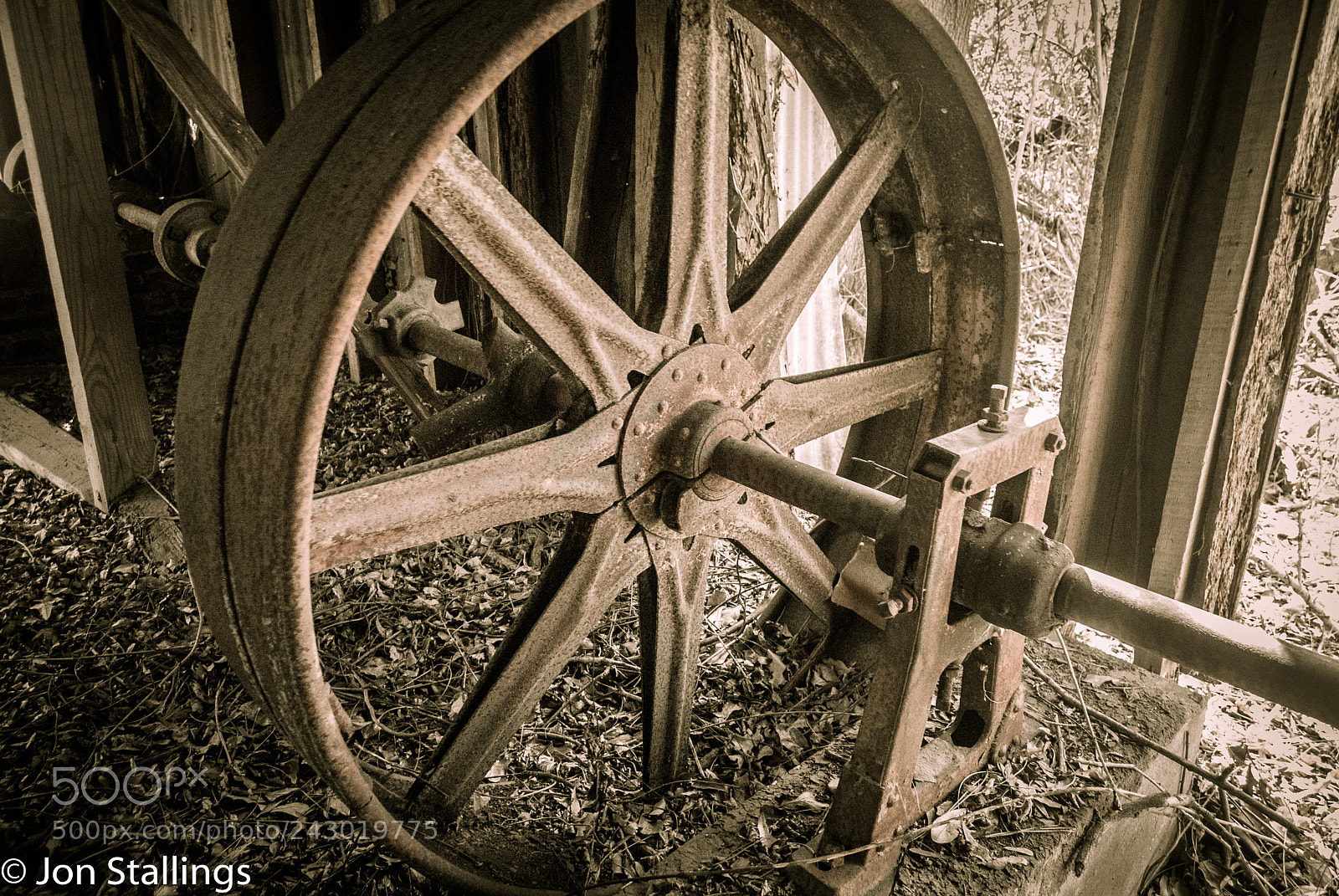 Nikon D3000 sample photo. Close up wheel cotton photography