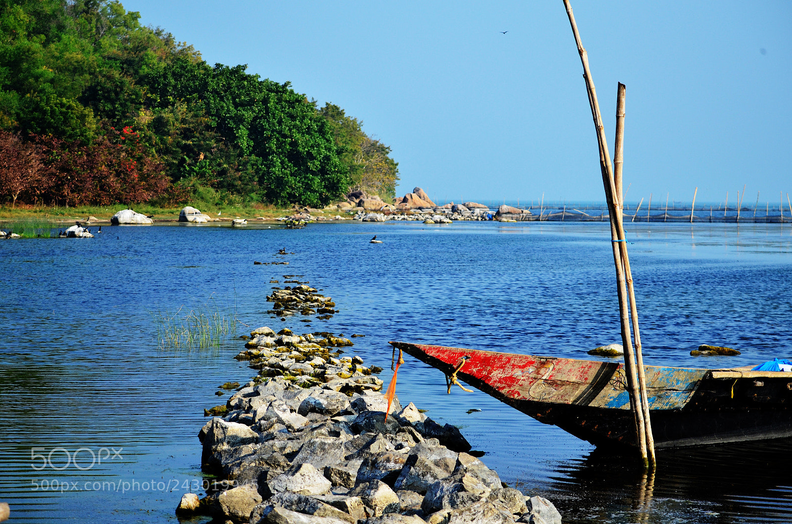 Nikon D5100 sample photo. Landscape of chilika photography