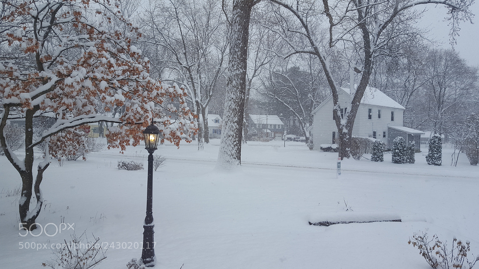 Samsung Galaxy S6 sample photo. Winter photography
