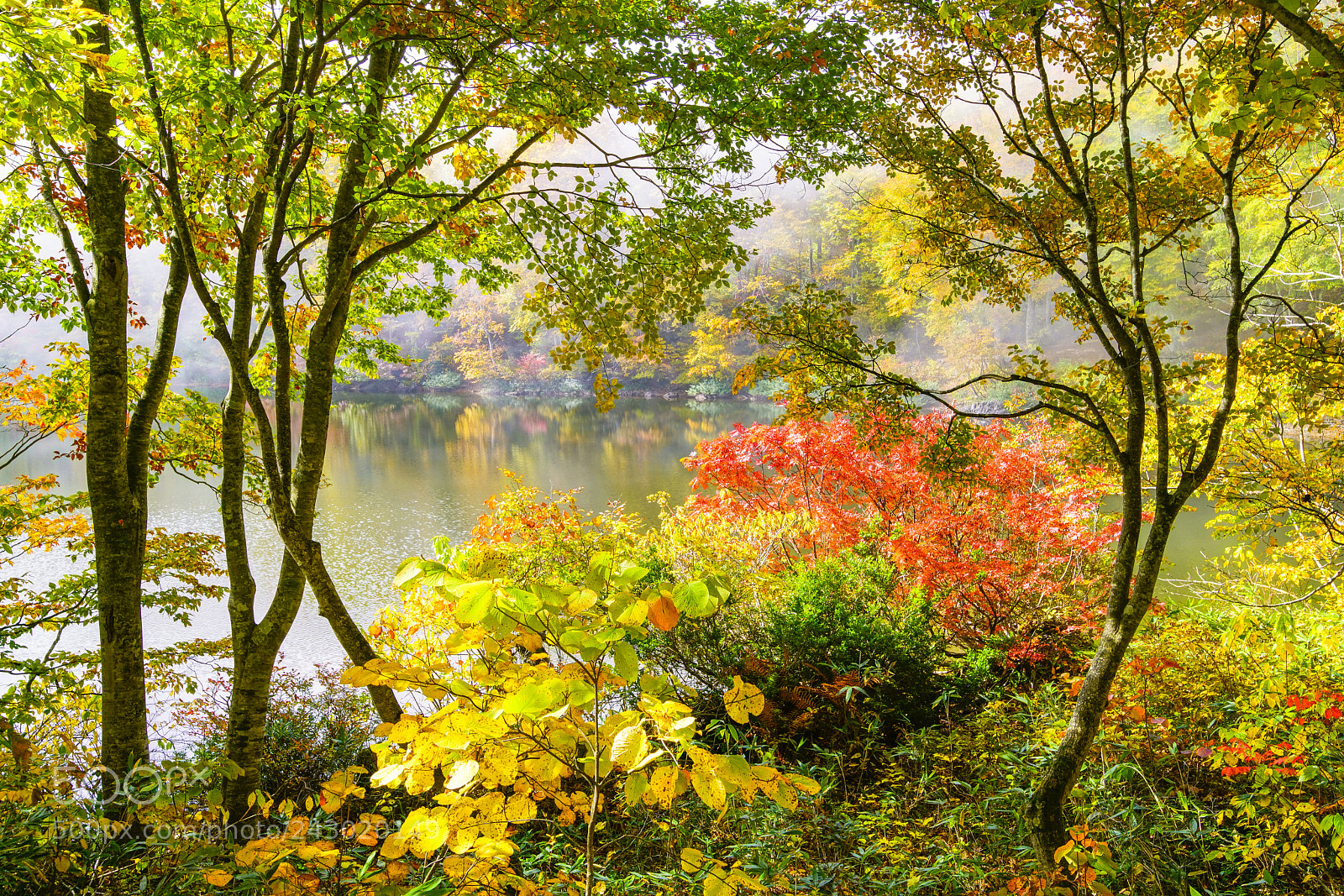 Sony a99 II sample photo. Dream pond photography
