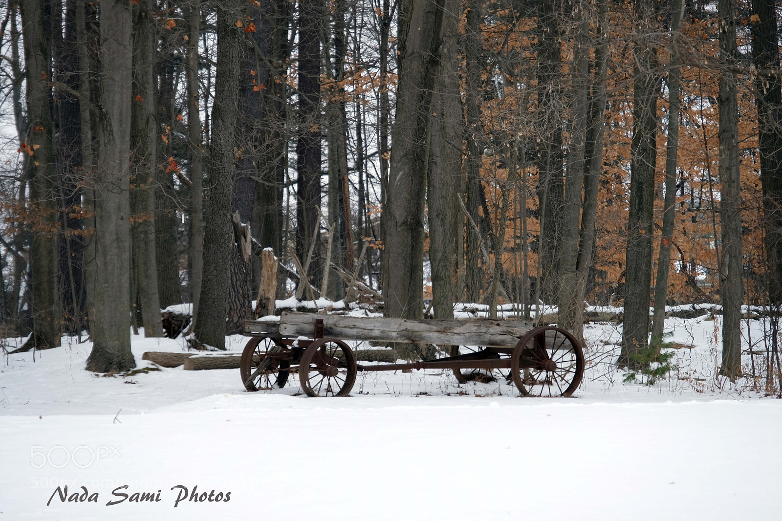 Fujifilm X-T2 sample photo. The wagon photography