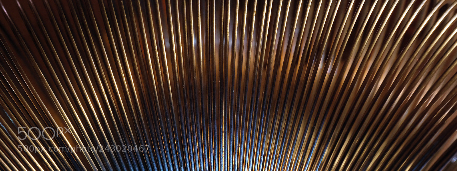 Fujifilm X100F sample photo. Wired 38 photography