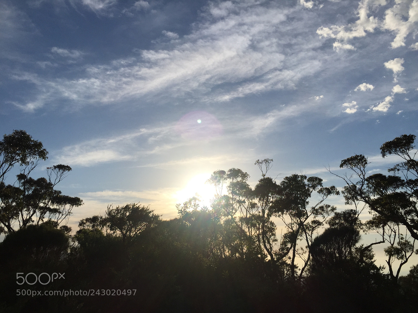 Apple iPhone 6 sample photo. Untitled photography