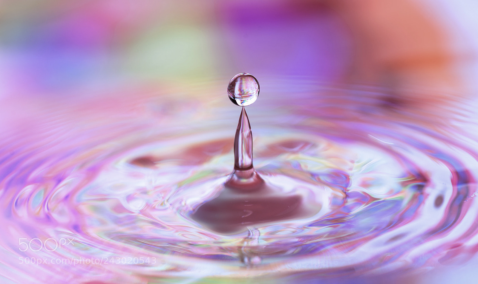 Nikon D800 sample photo. The physics of h2o photography