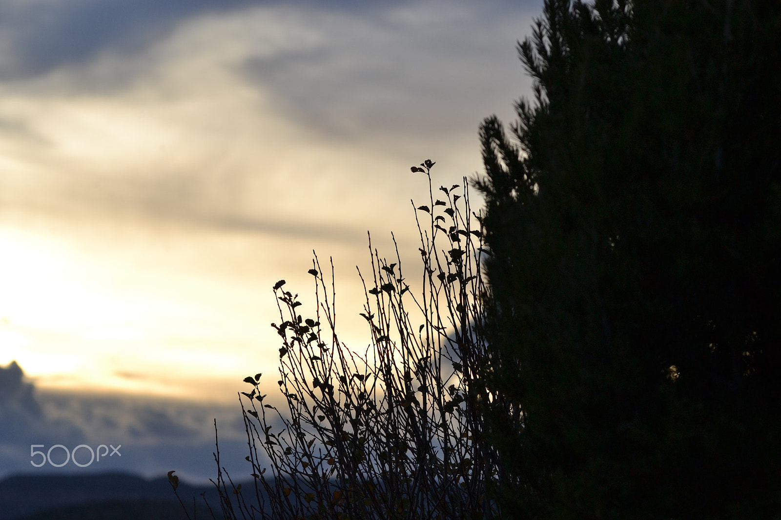 Nikon D3100 sample photo. An evening sky photography