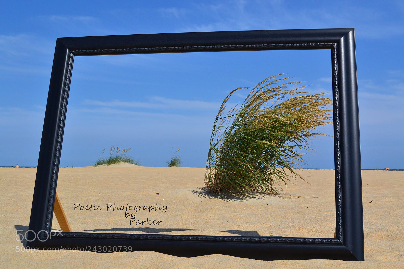 Nikon D3100 sample photo. F photography