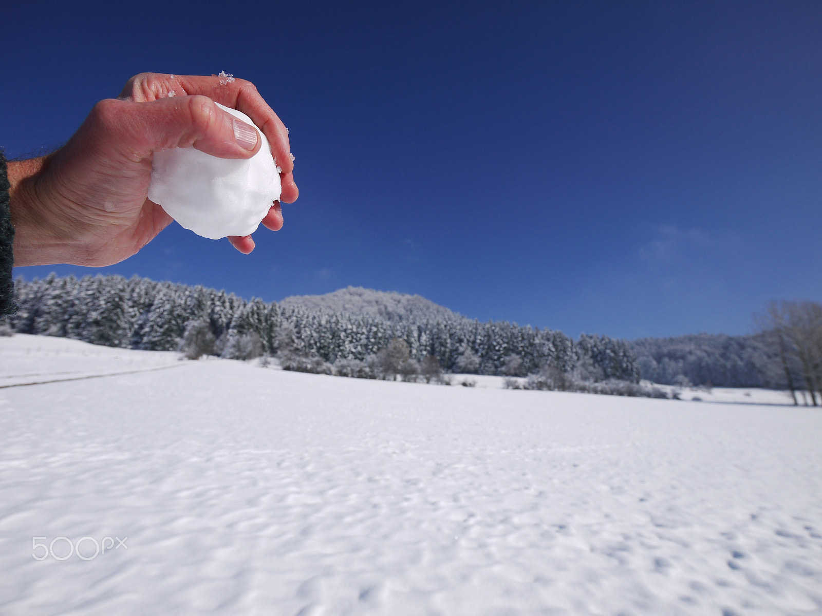 Panasonic Lumix DMC-G2 sample photo. Hand holding snow ball photography