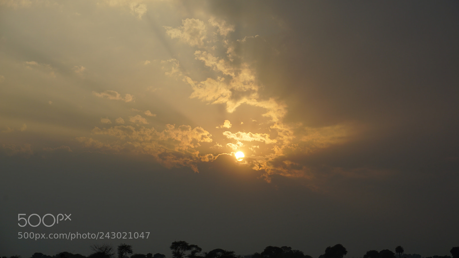 Sony a5100 sample photo. Untitled photography