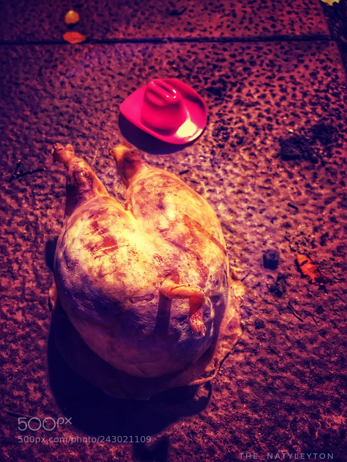 Apple iPhone 7 sample photo. Oooohh my hat!!! photography