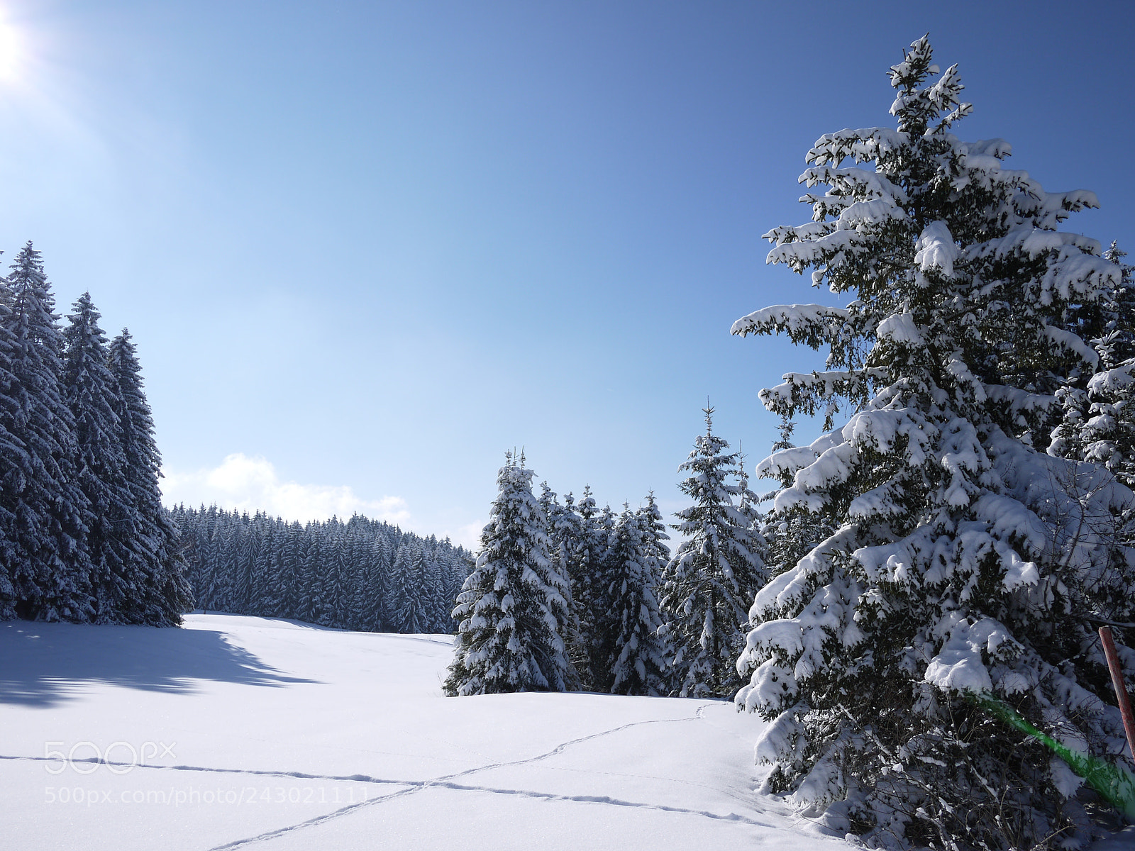 Panasonic Lumix DMC-GF2 sample photo. Beautiful snowy landscape forest photography