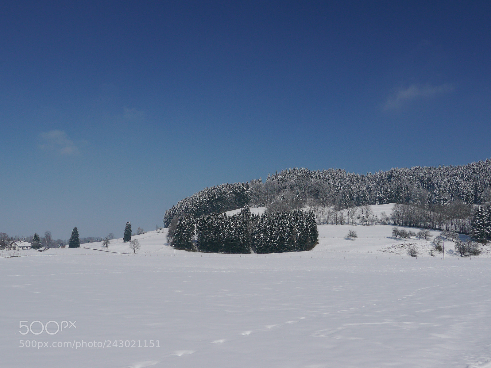 Panasonic Lumix DMC-GH2 sample photo. Beautiful snowy landscape forest photography