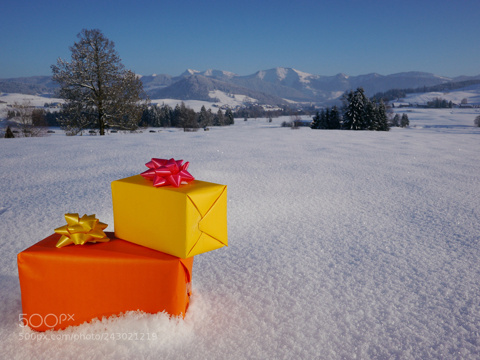 Panasonic Lumix DMC-GH2 sample photo. Gift parcels in the photography