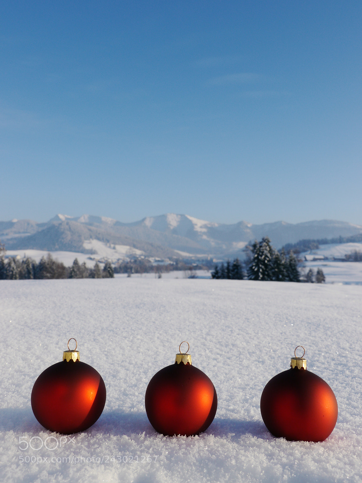 Panasonic Lumix DMC-GH2 sample photo. Three christmas bowls snow photography