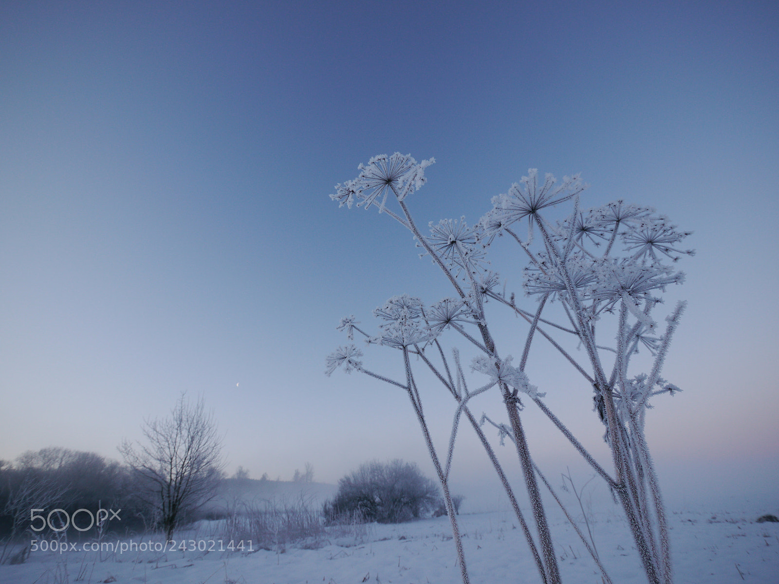 Panasonic Lumix DMC-GH2 sample photo. Beautiful landscape snow photography