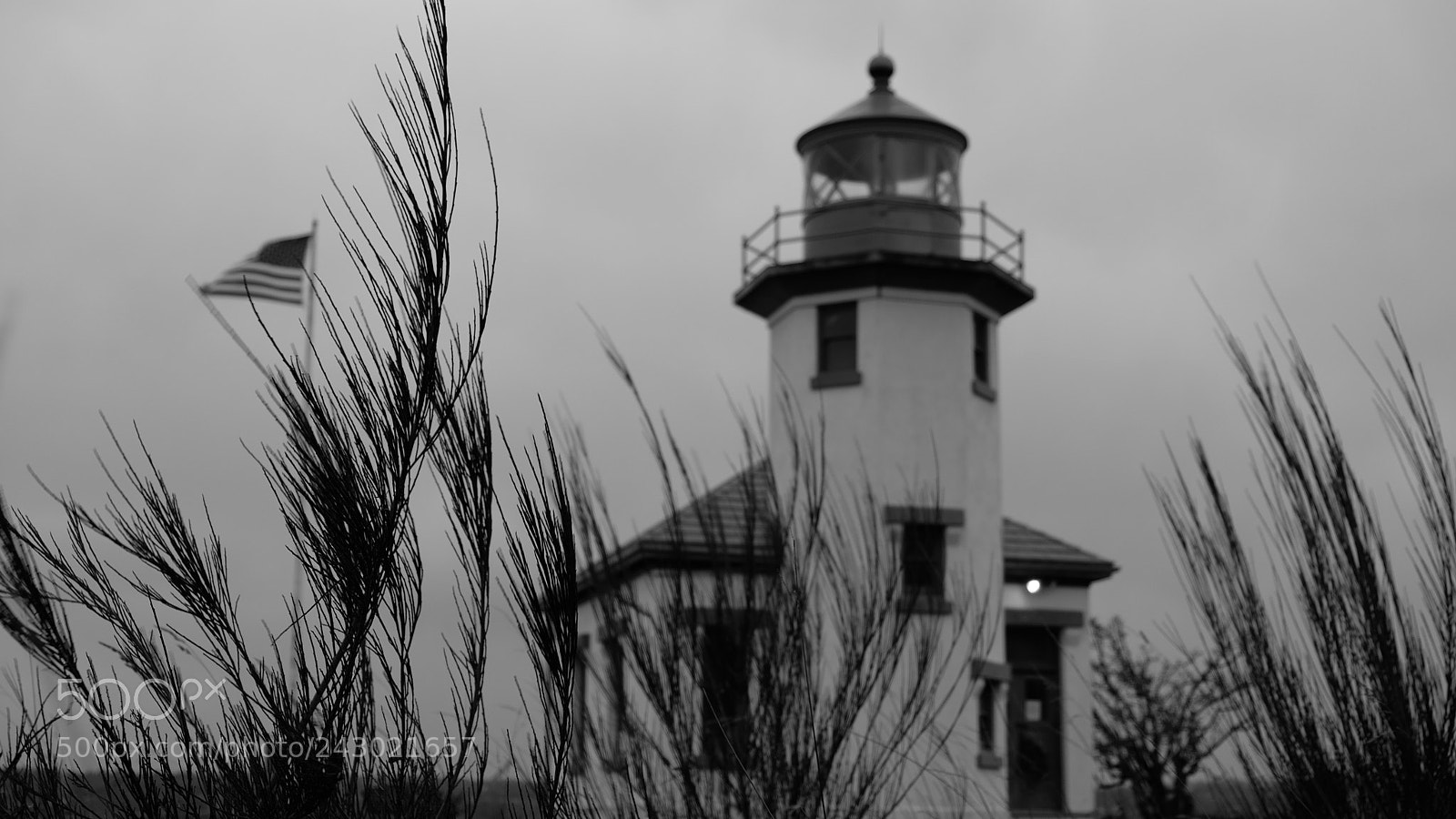 Fujifilm X-T20 sample photo. Pt. robinson lh photography