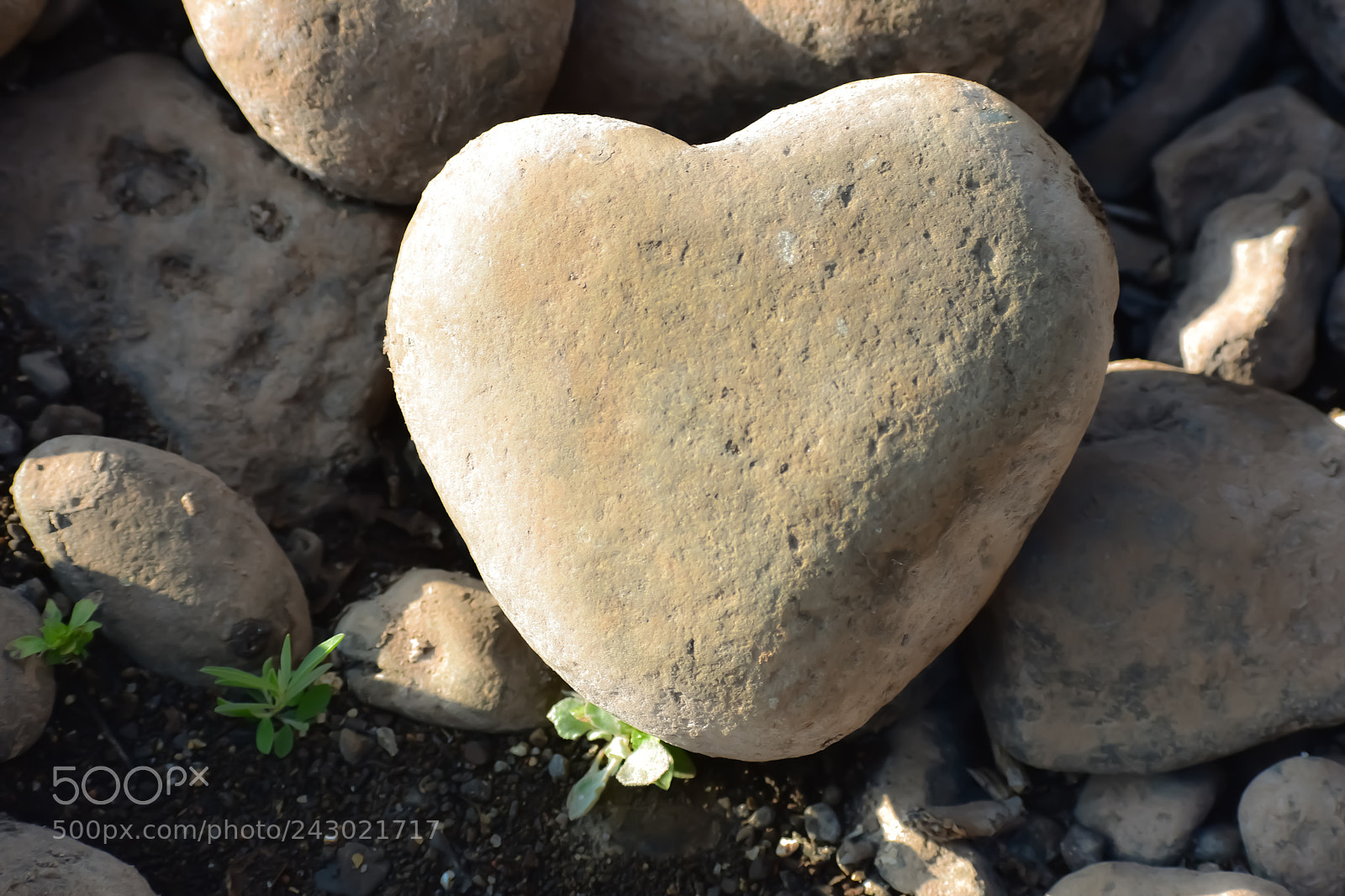 Nikon D3400 sample photo. Rock heart.!! photography