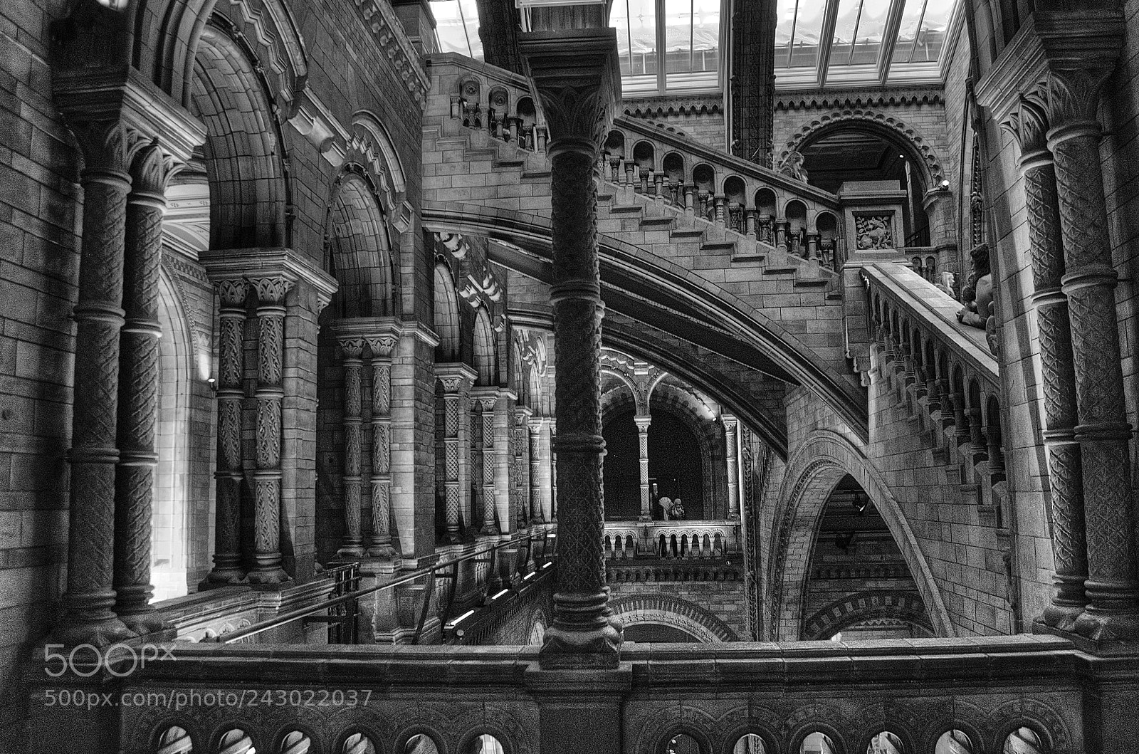 Nikon D5100 sample photo. Natural history museum photography