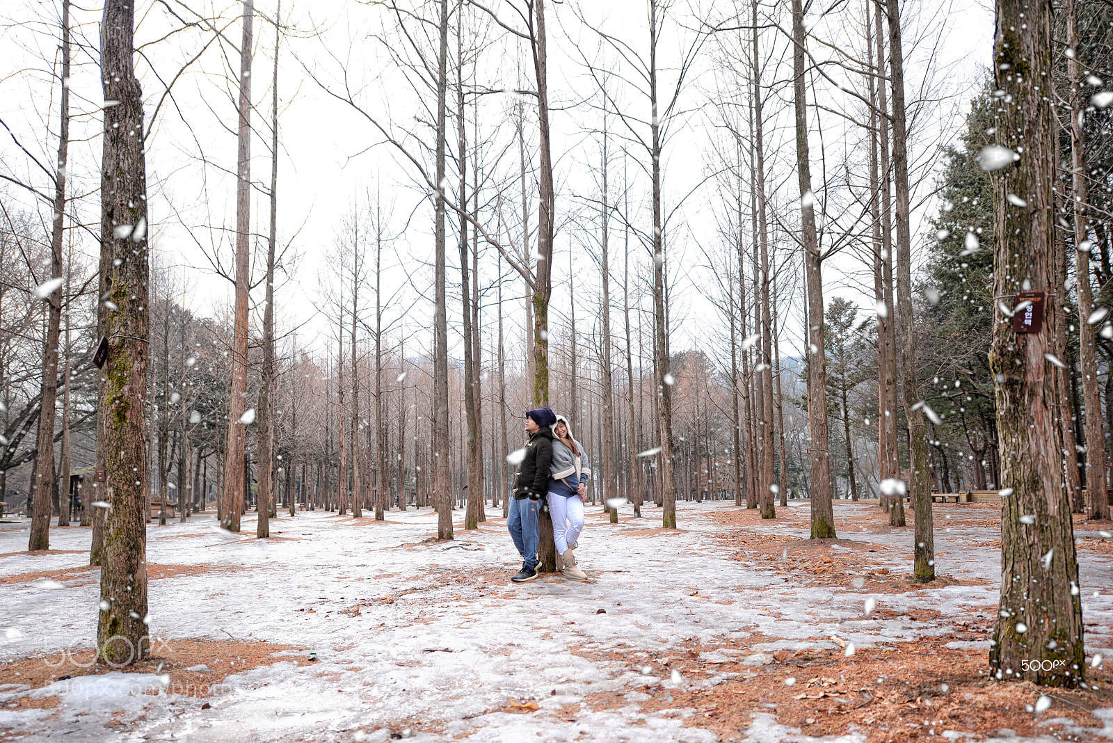 Nikon D610 sample photo. Winter seoul photography