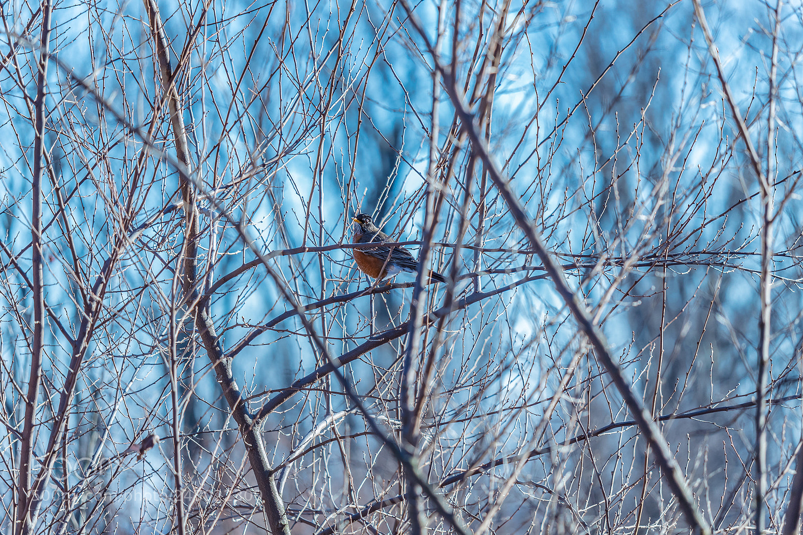 Canon EOS 1300D (EOS Rebel T6 / EOS Kiss X80) sample photo. Lookout photography