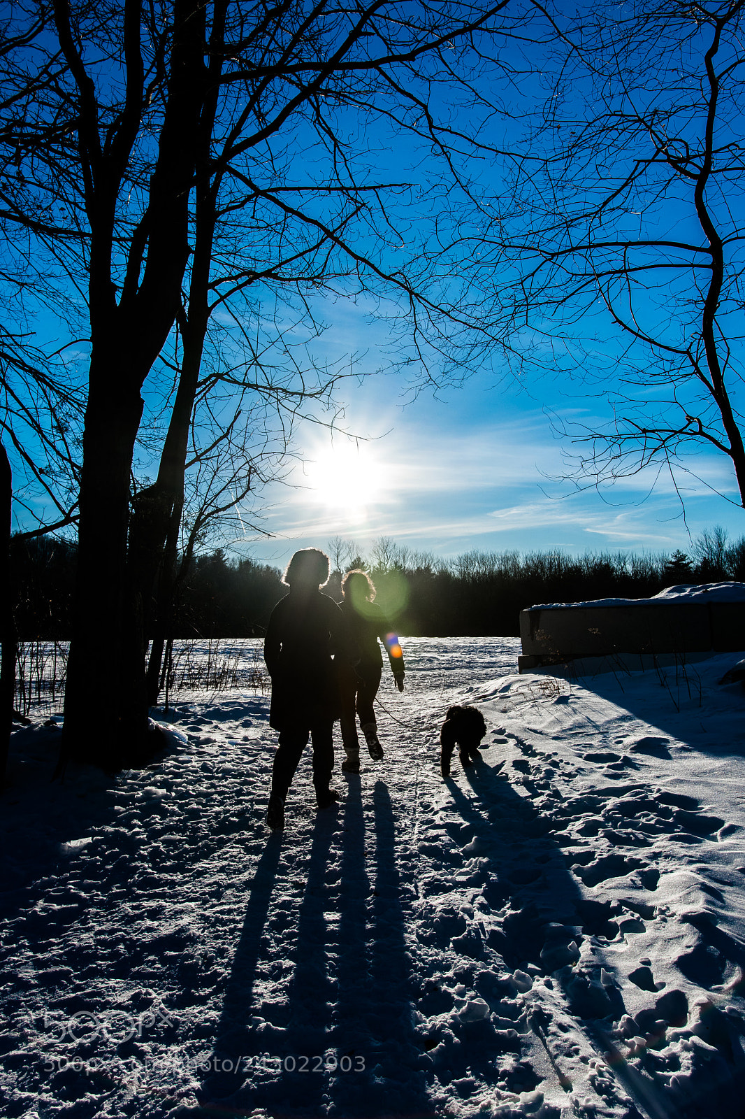 Nikon D500 sample photo. Untitled photography