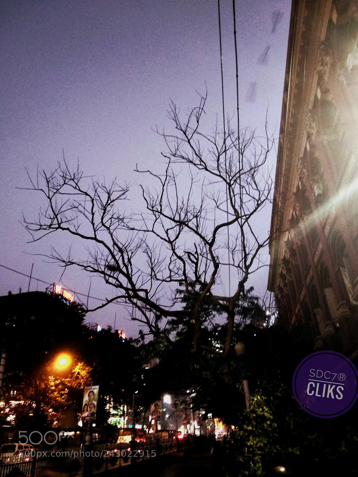 Xiaomi Mi A1 sample photo. The untold story photography