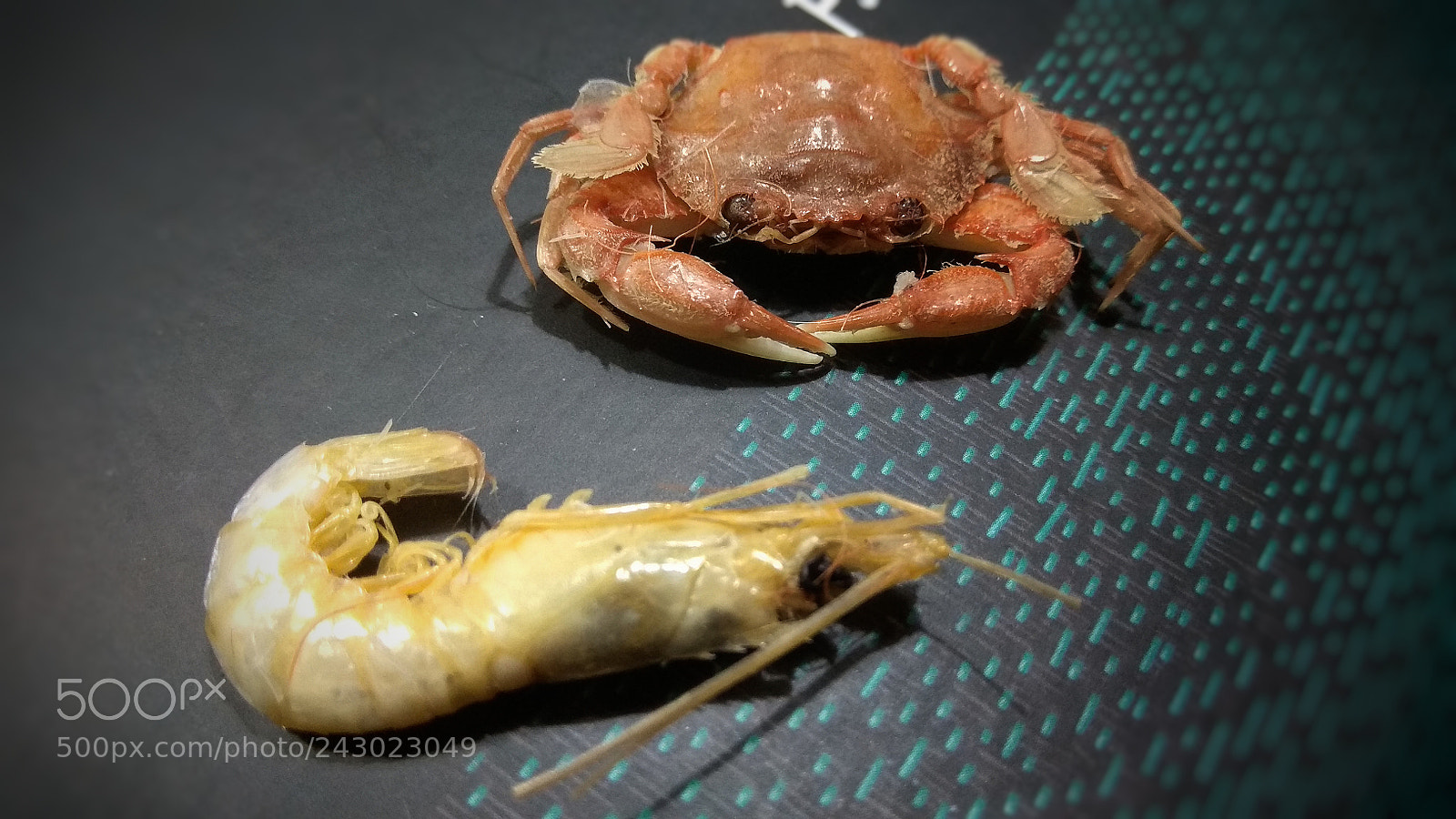 Xiaomi Redmi Note 4X sample photo. Untitled photography