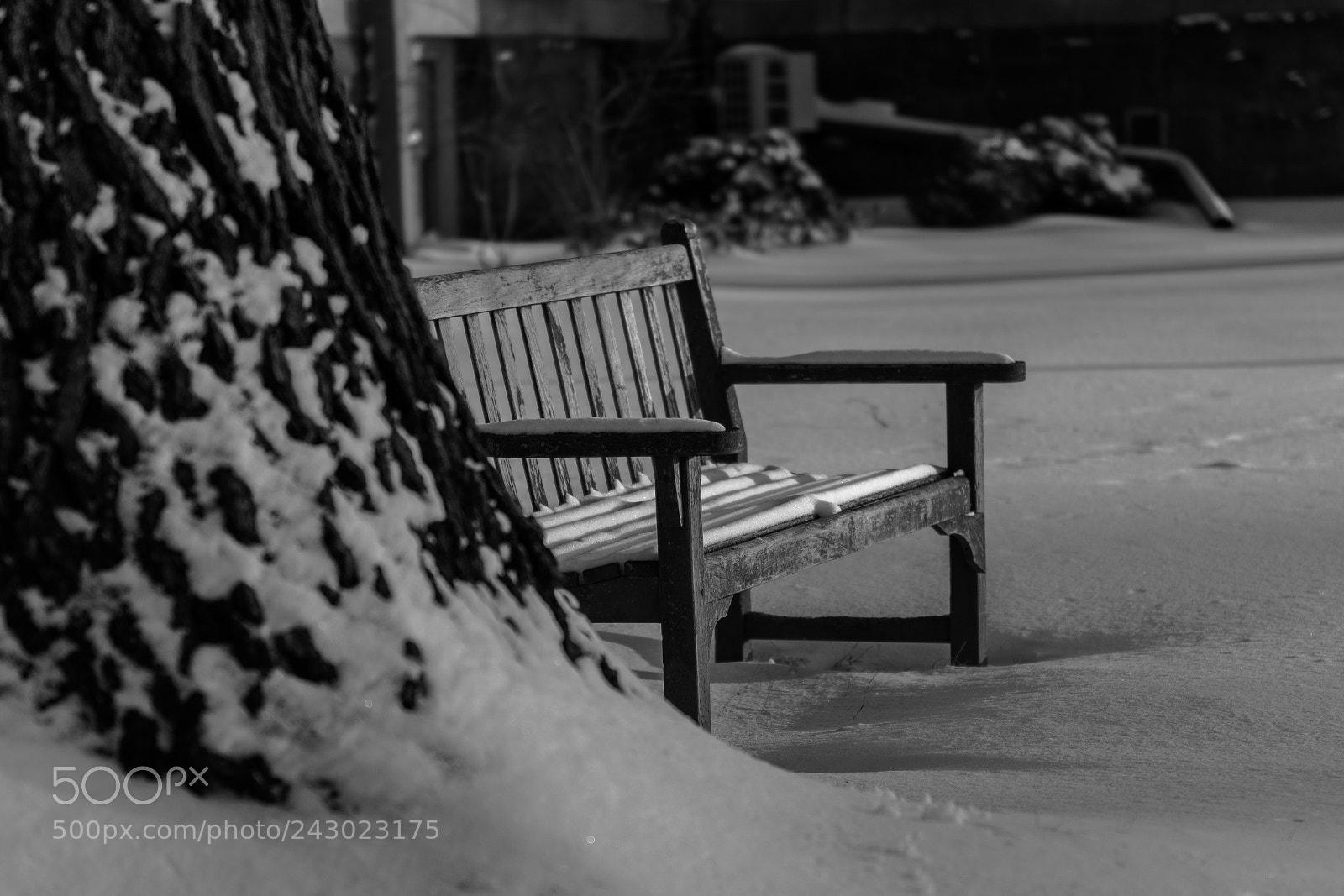 Nikon D500 sample photo. Full manual photography