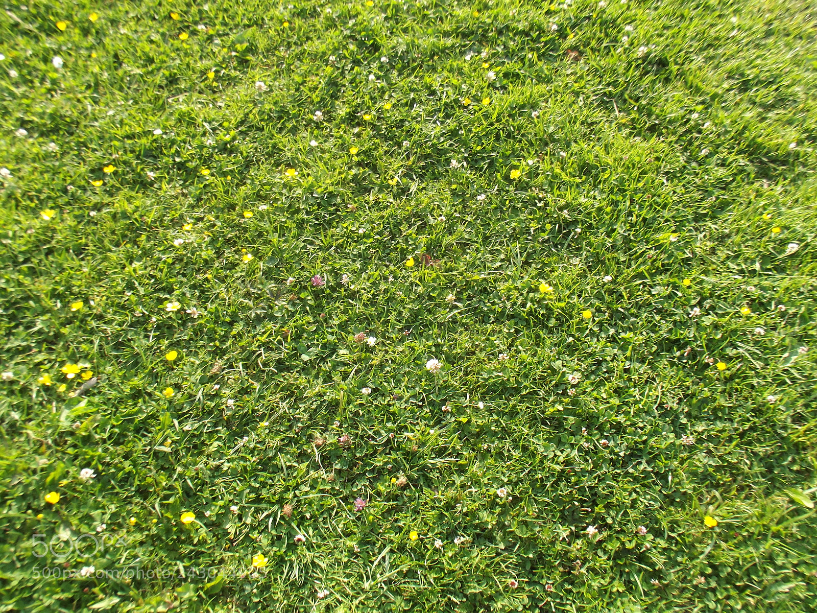 Fujifilm FinePix S2980 sample photo. Dscf photography